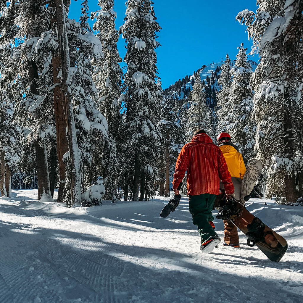 two people carrying snowboards walking through snow covered trees