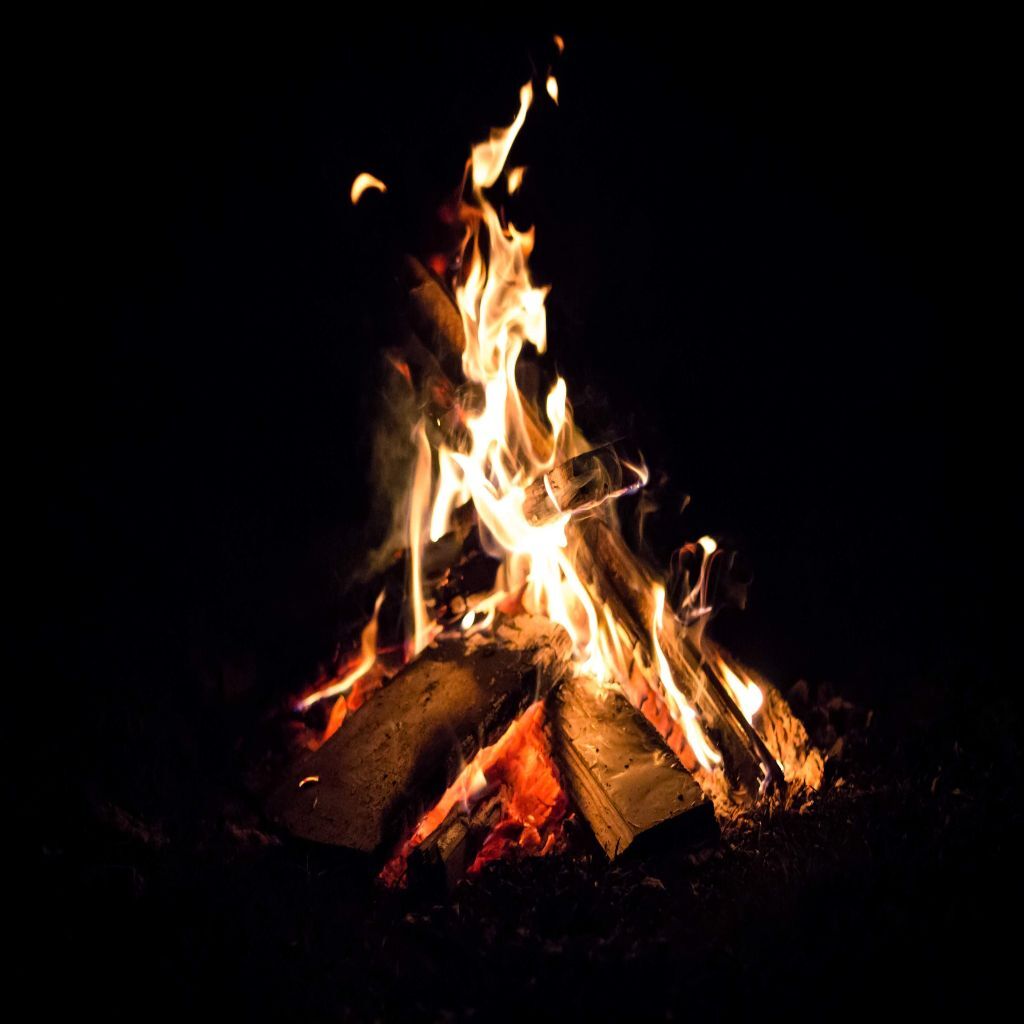 Minimize Campfire Impacts: Leave No Trace Behind in the Woods