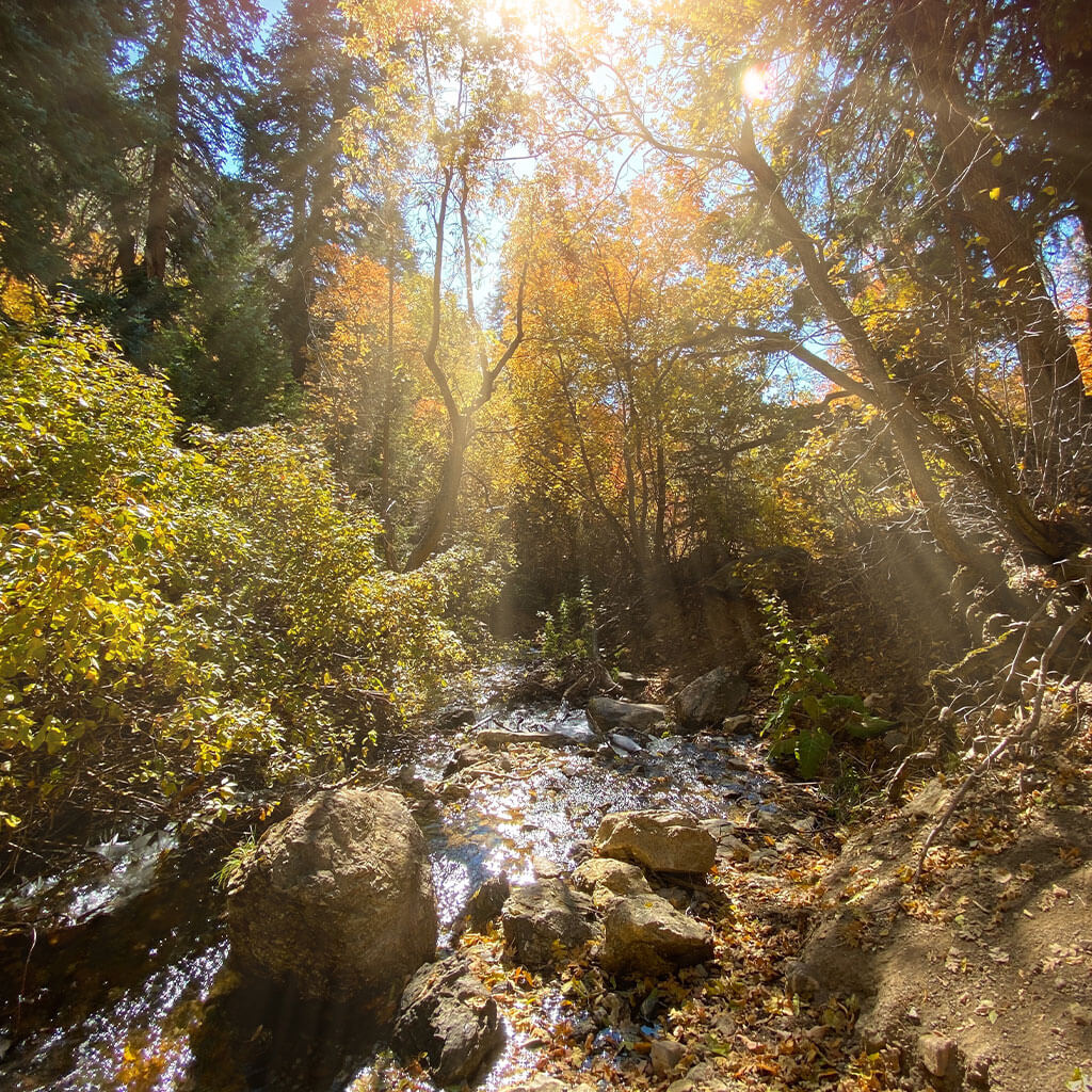 How to Get Water While Backpacking for Safe Drinking