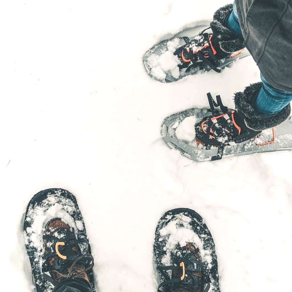 Top down view of snowshoes.