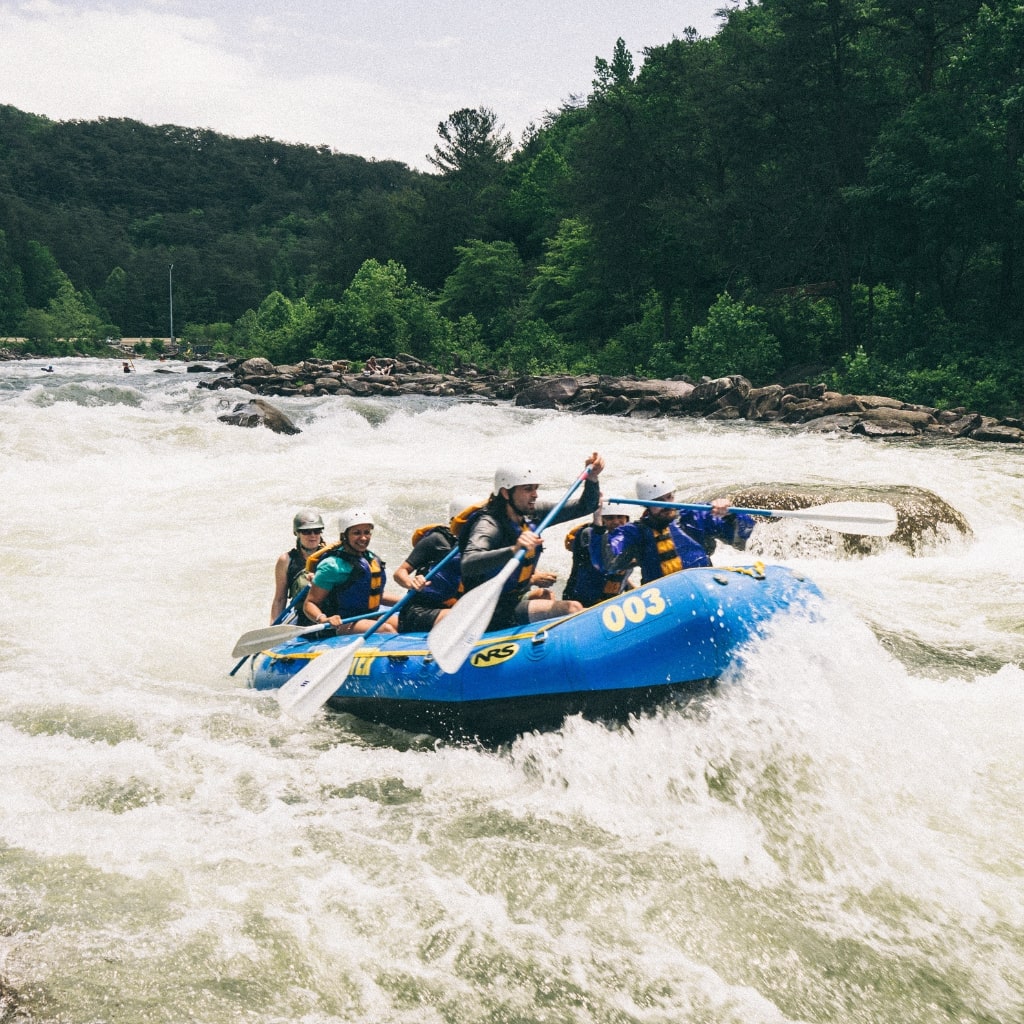 Group of people white water rafting.
