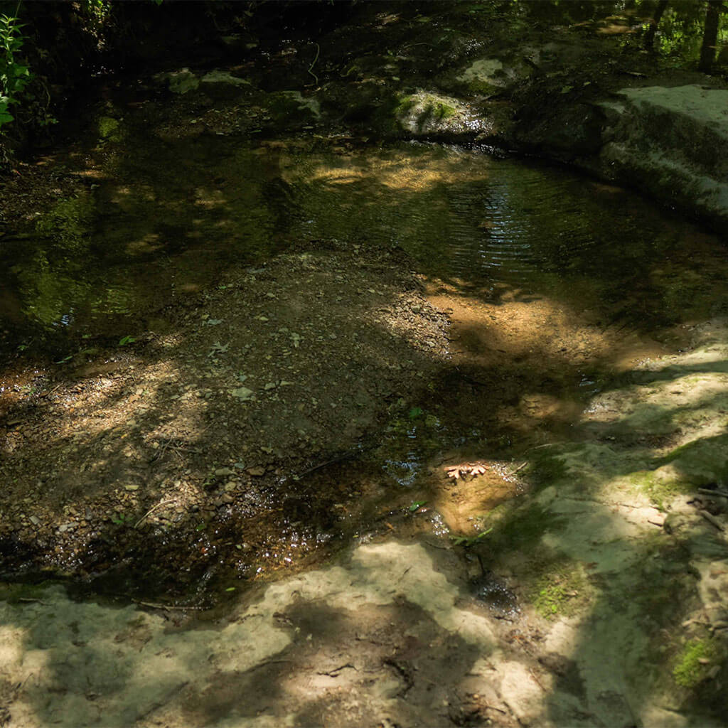 articles/small-water-pool-featured.jpg