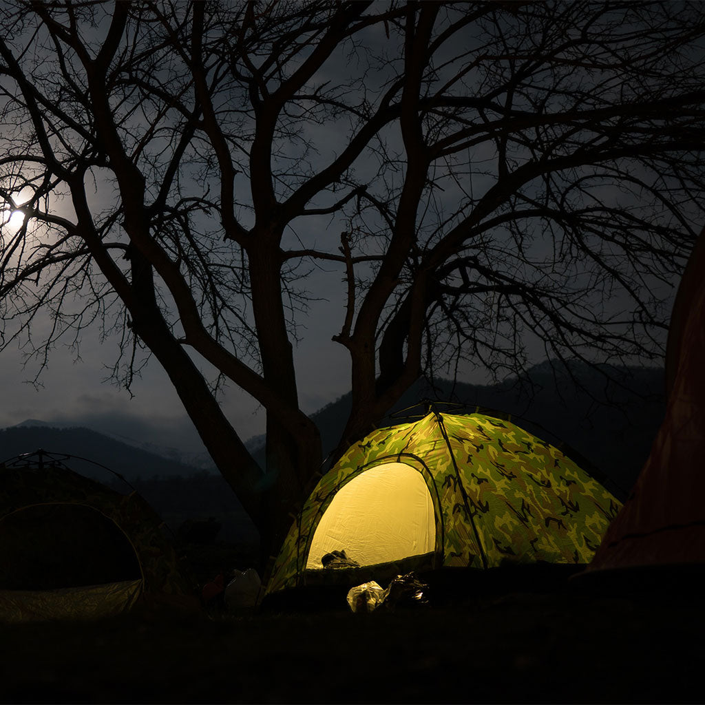 dome tent at nighttime by tree