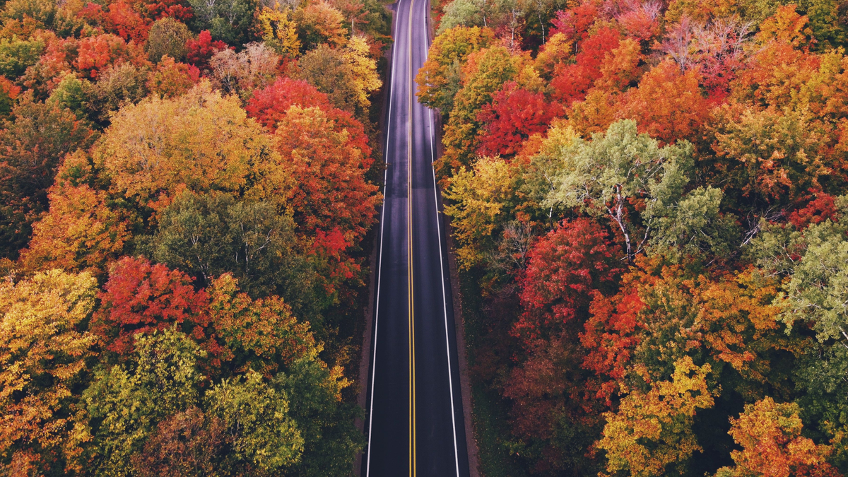 leaf-peeping road trips