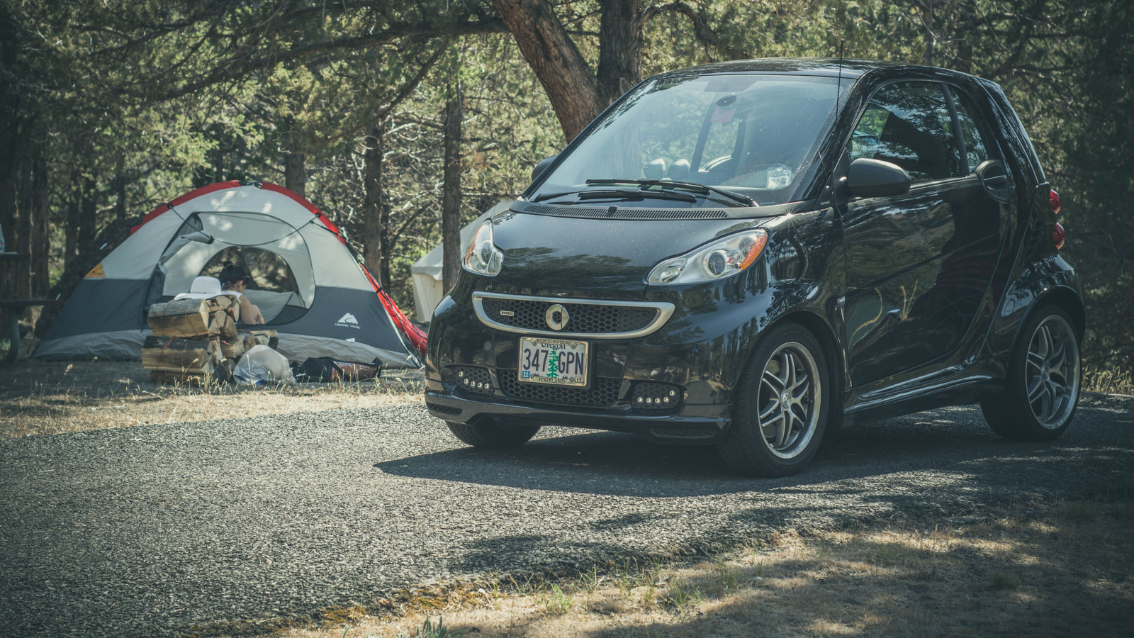 summer road trip