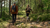 lunch ideas for long day hikes
