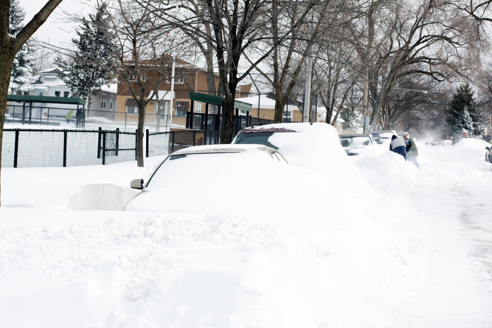 How Much Emergency Food Do You Need for 3, 7, and 30 Days