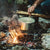 articles/boiling-water-over-campfire-featured_c240e07c-ad3c-44da-a367-c699511a465b.jpg