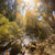 articles/creek-in-woods-featured.jpg