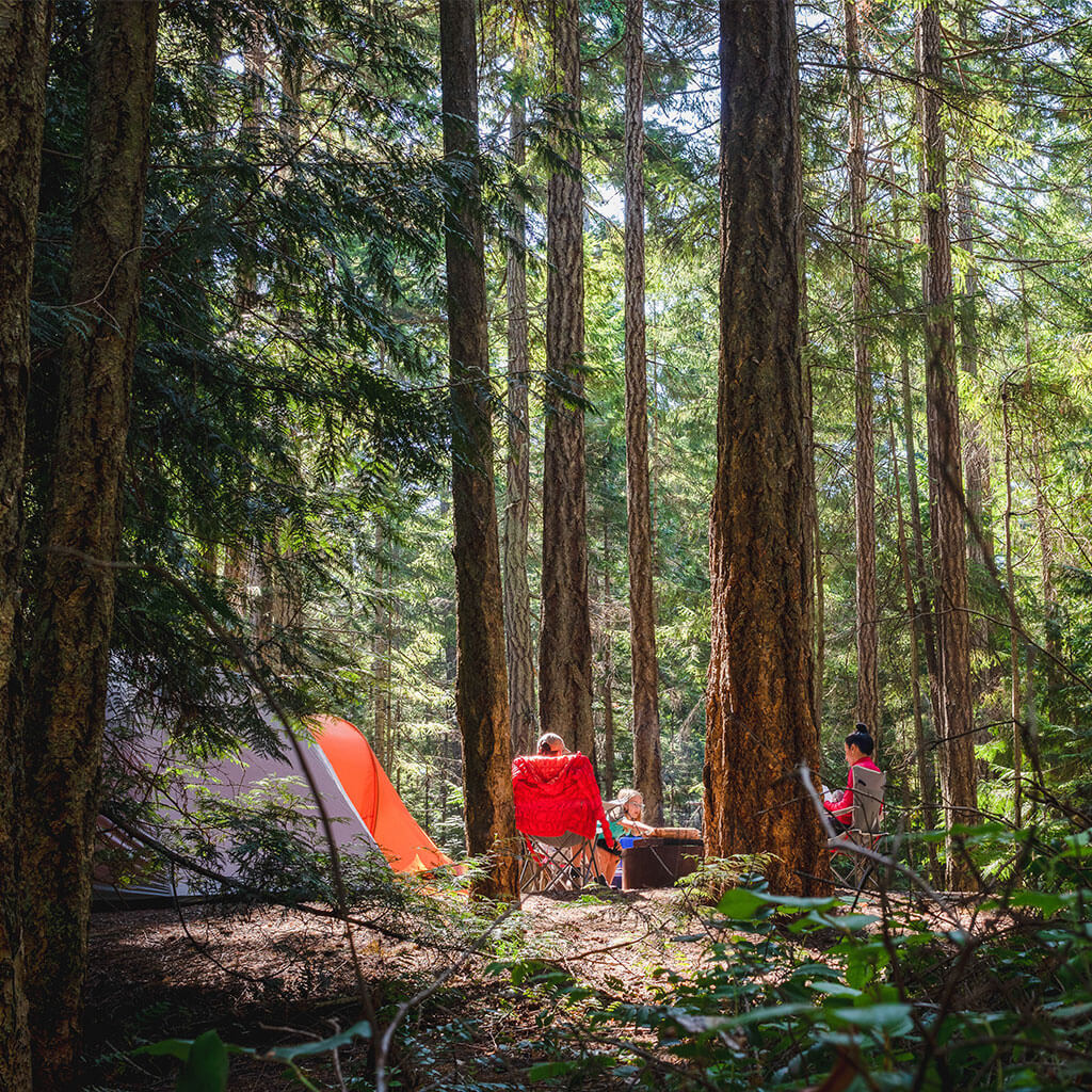 family camping in the woods