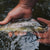 articles/hands-holding-trout-in-water-featured.jpg