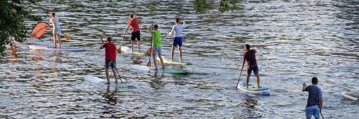 Group of paddleboarders on the lake.
