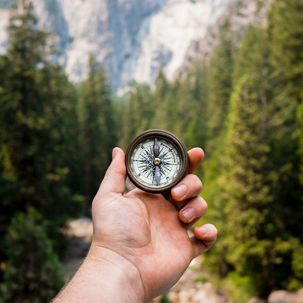 person holding compass facing mountain and pine trees