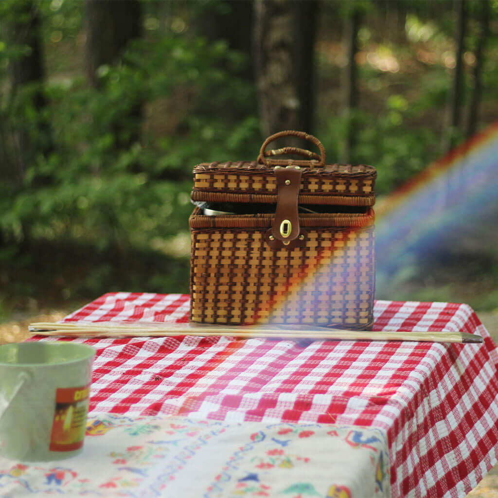 picnic basket on picnic table