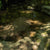 articles/small-water-pool-featured.jpg