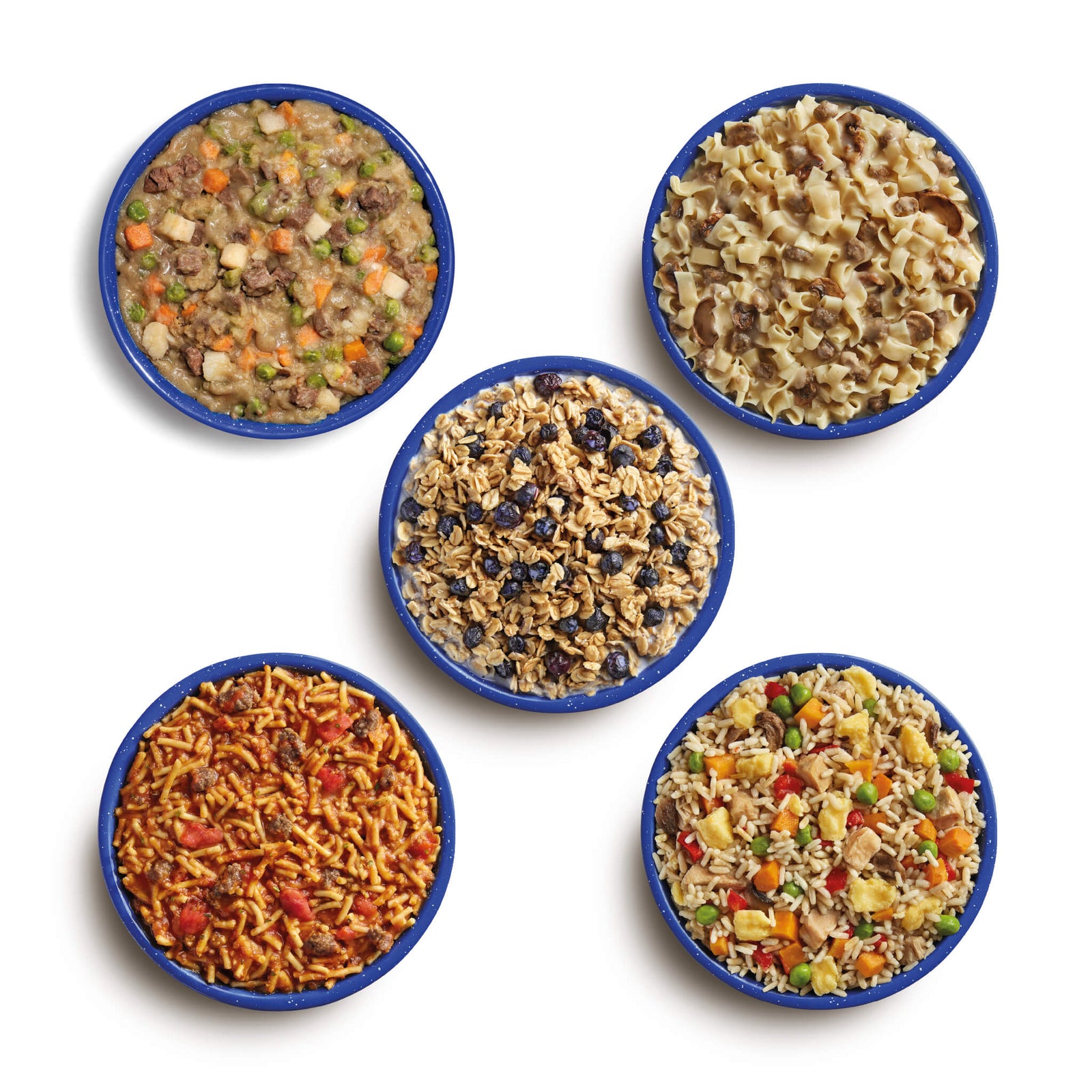 Aerial views of Beef Stew, Beef Stroganoff with Noodles, Granola with Milk & Blueberries, Spaghetti with Beef Marinara, and Chicken Fried Rice prepared in blue camping bowls.