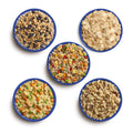 Aerial view of prepared Mountain House freeze-dried meals in blue camping bowls. Meals shown are Granola with Milk & Blueberries, Biscuits & Gravy, Chicken Fried Rice, Chicken & Dumplings, and Beef Stroganoff with Noodles.