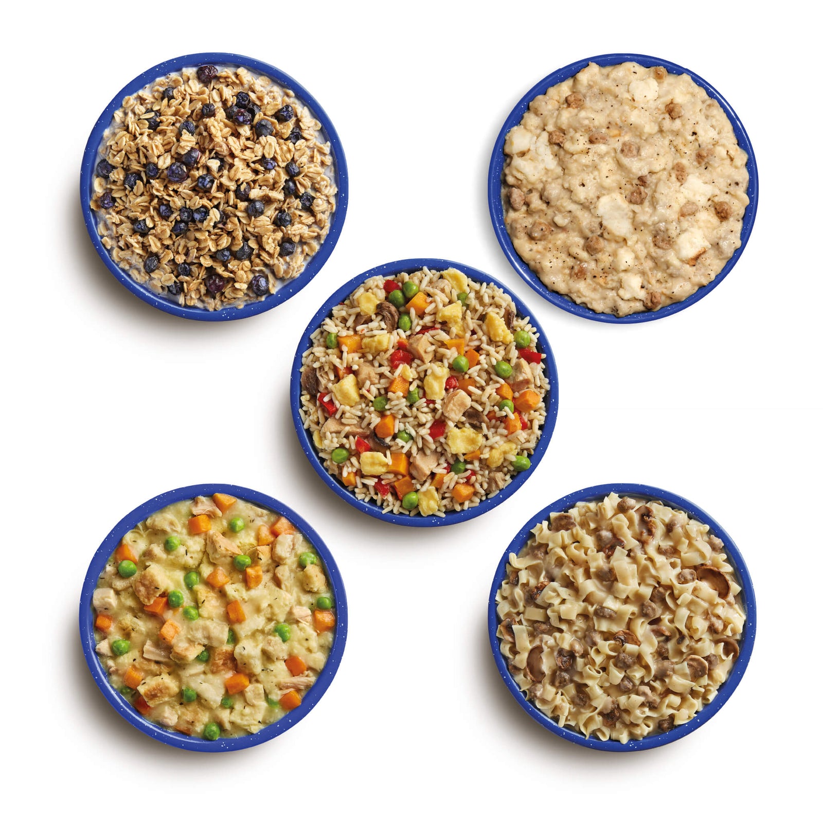 Aerial view of prepared Mountain House freeze-dried meals in blue camping bowls. Meals shown are Granola with Milk & Blueberries, Biscuits & Gravy, Chicken Fried Rice, Chicken & Dumplings, and Beef Stroganoff with Noodles.