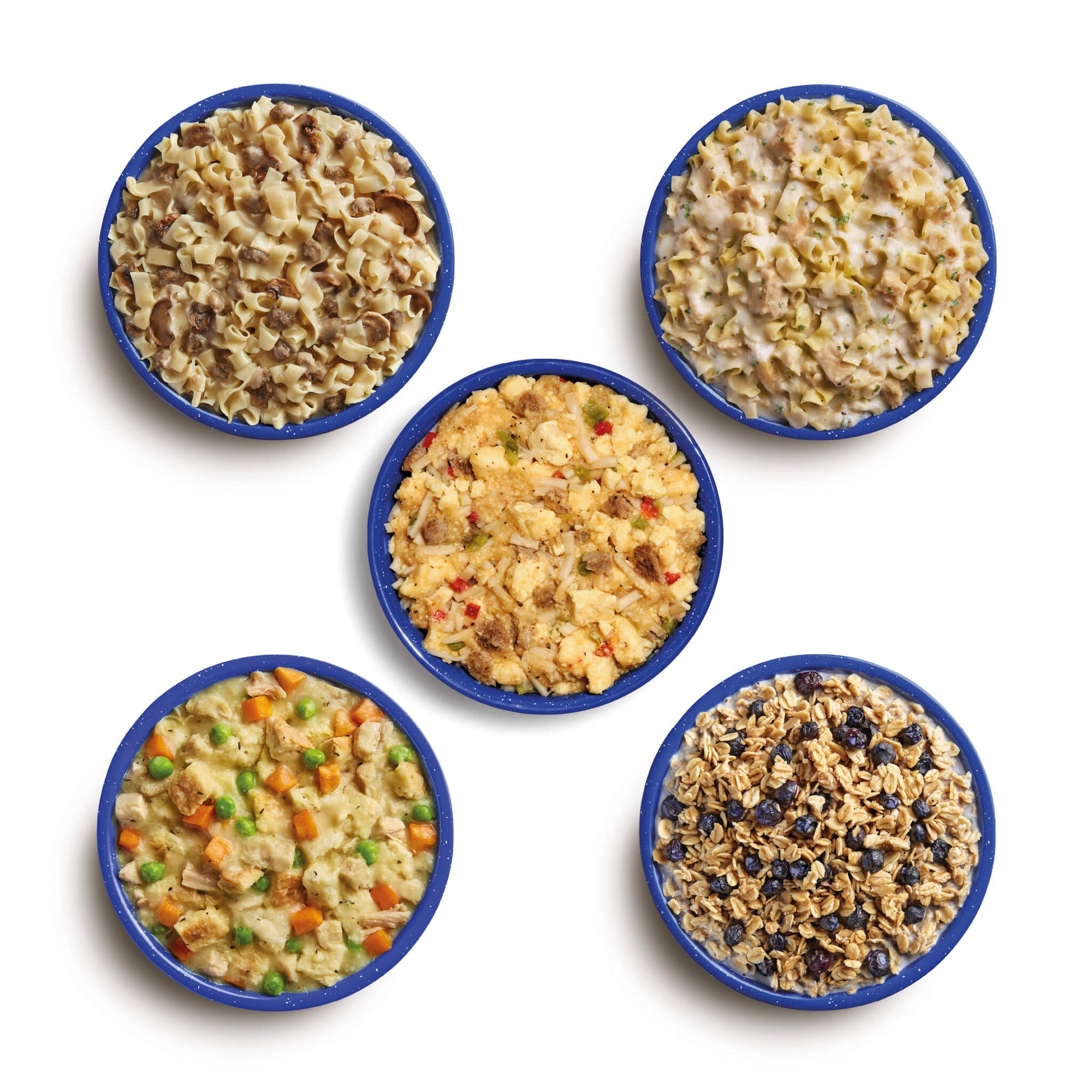 Aerial view of prepared freeze-dried meals in blue camping bowls. Meals shown are Beef Stroganoff with Noodles, Fettuccine Alfredo with Chicken, Breakfast Skillet, Chicken & Dumplings, and Granola with Milk & Blueberries.