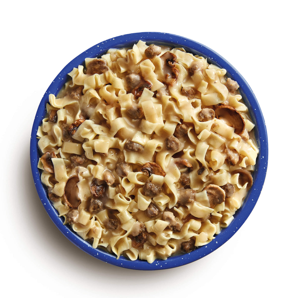 Mountain House Beef Stroganoff with Noodles prepared in a blue camping bowl.