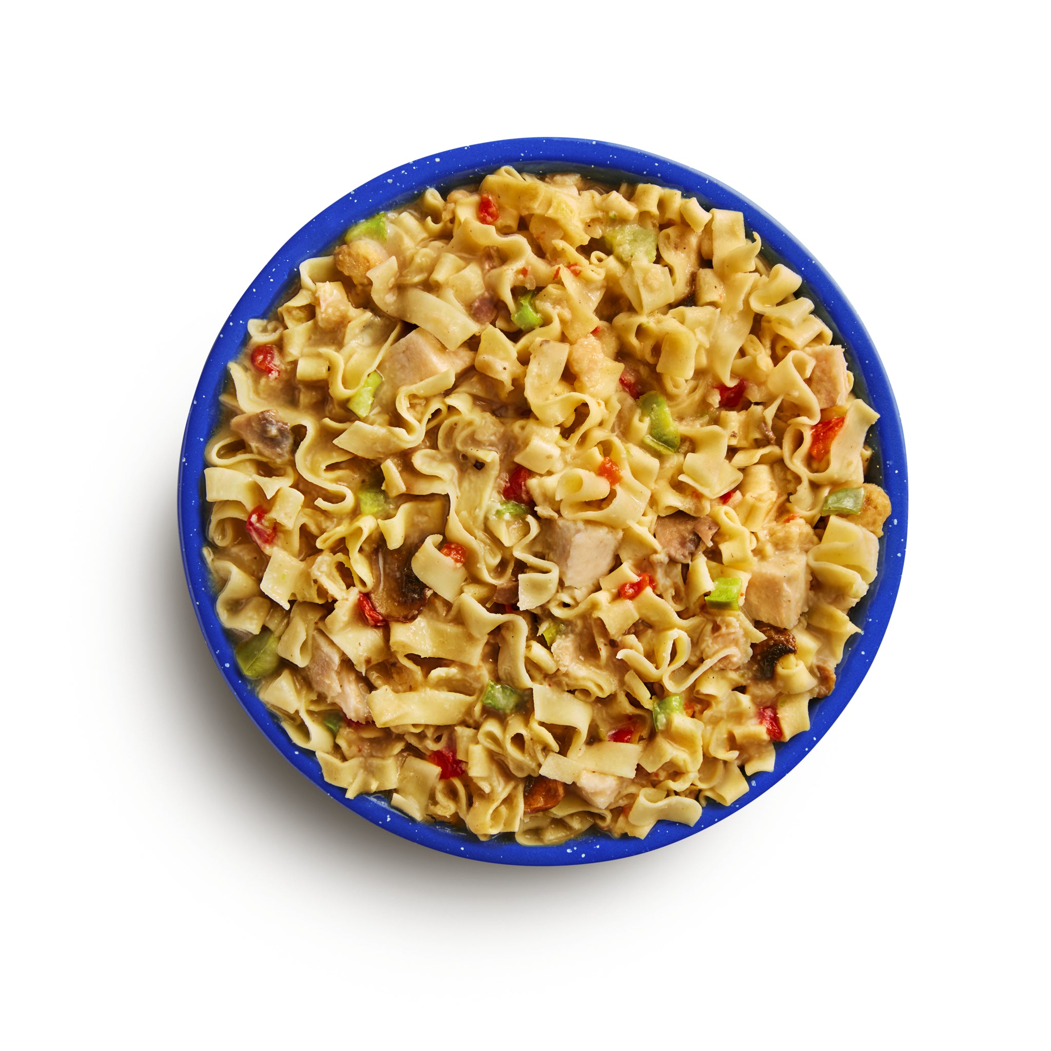Homestyle Chicken Noodle Casserole #10 Can | Mountain House