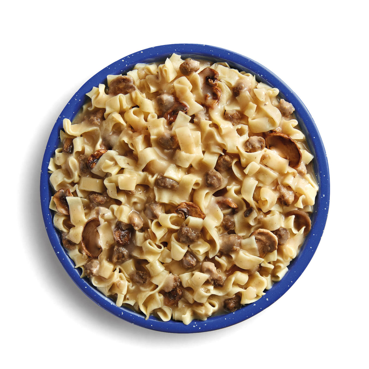 Mountain House Beef Stroganoff Pro-Pak prepared in a blue camping bowl.