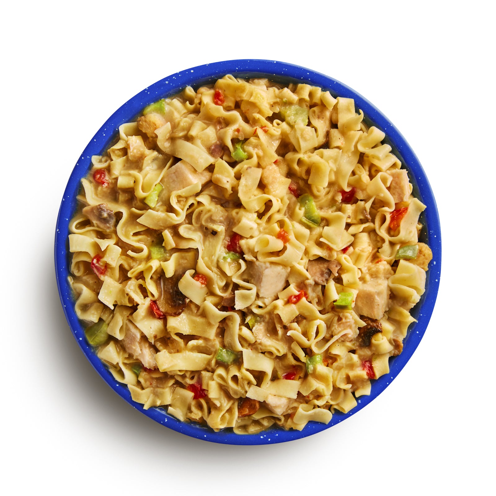 50161 Homestyle Chicken Noodle Casserole Prepared Freeze-Dried Backcountry Meal
