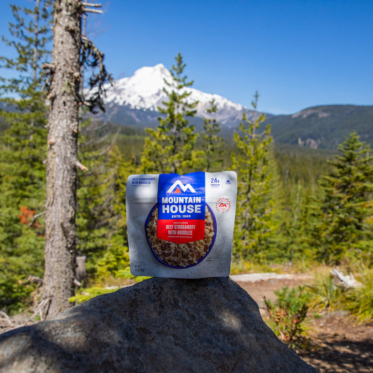 Mountain House Beef Stroganoff pouch on a large boulder with a mountain in the background.